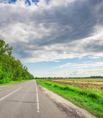 Road with a few trees on the side and a cloudy sky