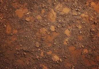 Textured Earth Ground Surface with Varied Brown Tones and Natural Appearance for Backgrounds
