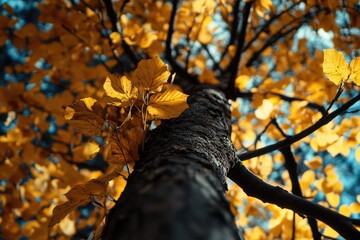 A close-up shot of a tree branch with bright yellow leaves