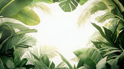 Lush Green Tropical Leaves Frame Bright Sunlight White Background