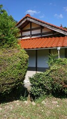 2390)japanese yellow hornet nest in the attic(Photo taken at 14:19 on september 3, 2017)