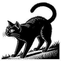 black cat vector illustration