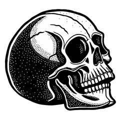 skull on black