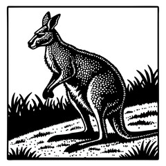 kangaroo vector illustration