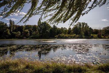 Kaminowskie Lake in Skaryszew Park in South Praga district of Warsaw city, capital of Poland