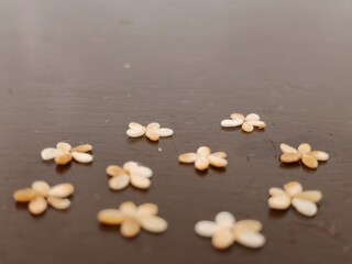 Selective focus of small seeds carefully arranged in a floral pattern on a dark surface. The earthy tones of the seeds contrast with the rich background, creating a simple yet artistic composition. 