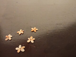 Small seeds are carefully arranged in a floral pattern on a dark, textured surface. The warm, earthy tones of the seeds contrast with the rich background, creating a simple yet artistic composition