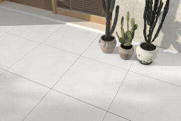 3D Render of Close-Up of White Tiled Patio with Potted Cacti and Contemporary Home Design