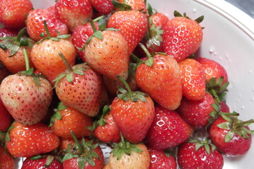 Photo of a pile of fresh strawberries
