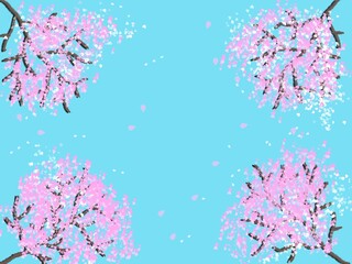 Obraz premium 桜 花吹雪 空 背景