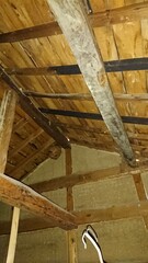 2393)japanese yellow hornet nest in the attic(Photo taken at 14:34 on september 3, 2017)