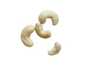 Fototapeta premium Whole Cashew Nut on a Transparent or White Background