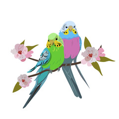The budgie. Two budgies are sitting in flowers and cuddling up to each other. A couple in love. Friends.