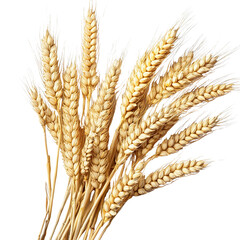 A stunning bunch of golden wheat stalks arranged beautifully, showcasing nature's bounty and agricultural richness.