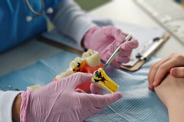 Dentist demonstrates dental procedures using a model in a clinic