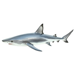 Naklejka premium A detailed depiction of a porbeagle shark isolated on a transparent background for educational purposes, a porbeagle shark fish isolated on transparent background