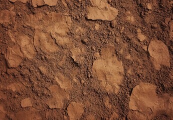 Obraz premium Abstract Background Texture of Earthy Soil with Distinctive Patterns and Rich Colors