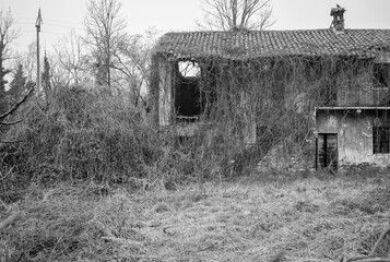 Old ruined farm in the countryside of Lomellina Region (Northern Italy, between Novara, Vercelli...