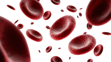 Realistic 3D Rendering of Red Blood Cells in Motion.., PNG, transparent background