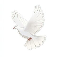 Obraz premium White Dove in Flight (2)