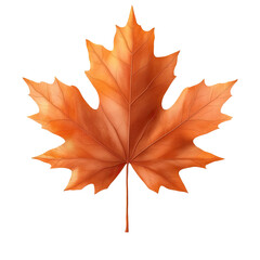 Obraz premium Vibrant orange maple leaf isolated on a white background, perfect for autumn themes and nature-inspired designs.