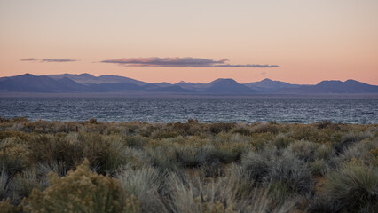Mono Lake shoreline with sagebrush and distant mountains at sunset. Concept of nature, wilderness, and untouched landscapes.