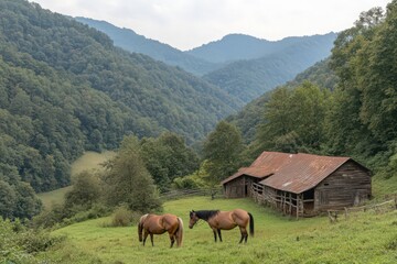 Naklejka premium Brown Horses Grazing in Mountainous Pasture near Rustic Barn