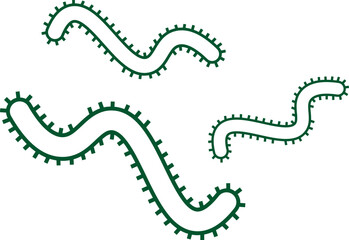 Virus and bacteria icon. Vector  isolated poster for healthcare education. Pathogenic bacteria viruses and microbes. Disease-causing  bacterium type microorganism infection.