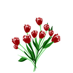 bouquet of red tulips001