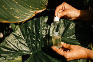 Female hands opening a bottle of natural skin and hair care oil on a background of tropical palm trees. Hands holding pipette with natural vitamin C serum for facial skin