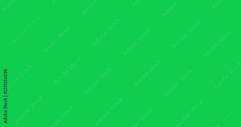 Poster 4k resolution video: white jet passenger's airplane with usa flag on a green screen background with 