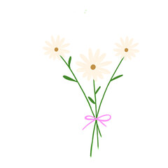 bouquet of daisies002