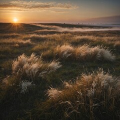 A dramatic sunset over a windswept grassland, with soft white fog rolling along the ground.