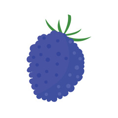 Illustration of a blue blackberry with green leaves, showing textured dots and round shape.