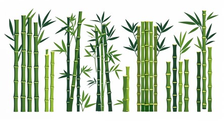 Set bundle of bamboo minimalist childish style illustration on plain white background