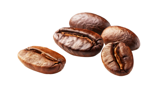 Premium Roasted Coffee Beans