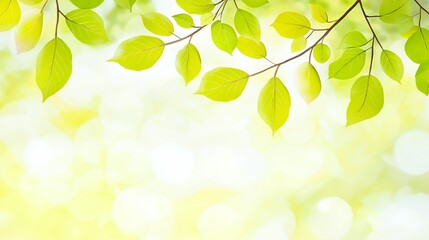 Vibrant Green Leaves and Soft Bokeh Background