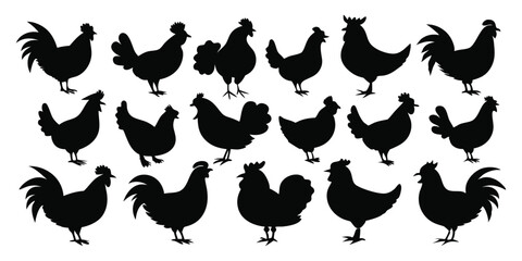 Fototapeta premium Hen or chicken black silhouettes set