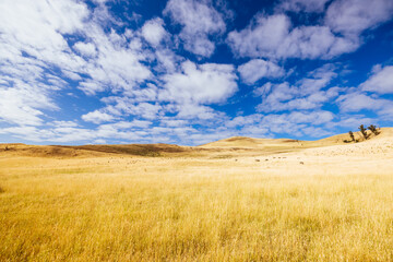 Fototapeta premium Landscape Near Ouse in Tasmania Australia