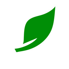 Obraz premium green leaves icons 