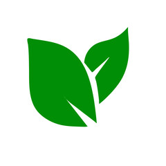 green leaves icons
