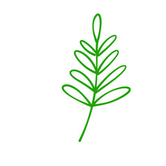 Hand drawn autumn leaves
