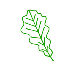 Hand drawn autumn leaves
