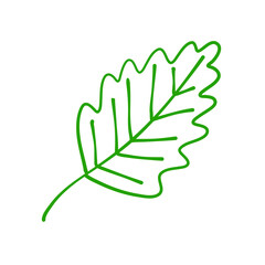 Hand drawn autumn leaves
