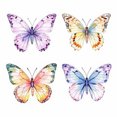 Butterfly collection. Watercolor illustration. Colorful butterflies clipart set. Baby shower design elements. Party invitation, birthday celebration. Spring, summer decor