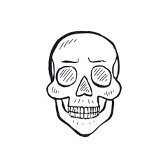 Hand drawn black and white line art human skull isolated on white background. Monochrome skeleton head design