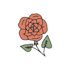 Hand drawn outlined red rose flower isolated on white background. Simple floral doodle sketch. Abstract botanical element.