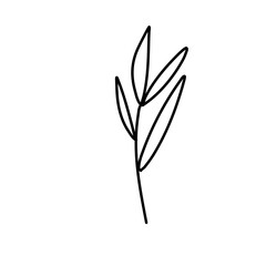 brunch and frames icon
