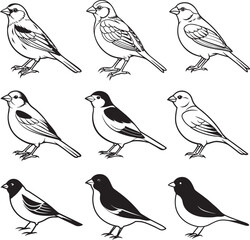 Line art silhouette bird set icon design 