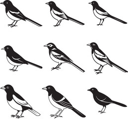 Line art silhouette bird set icon design 